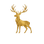 Luxio Aura